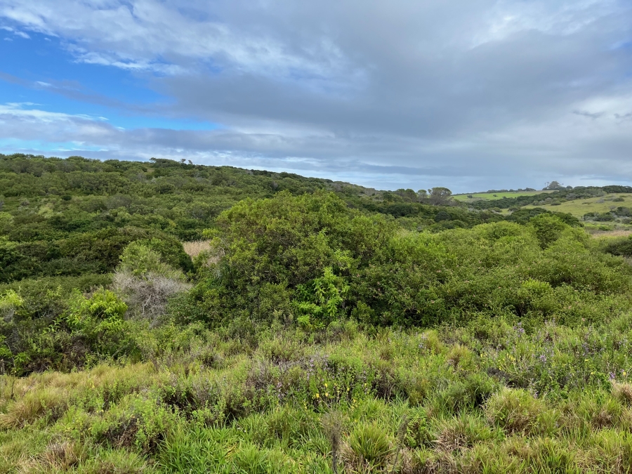 0 Bedroom Property for Sale in West Bank Eastern Cape